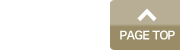 PAGE TOP